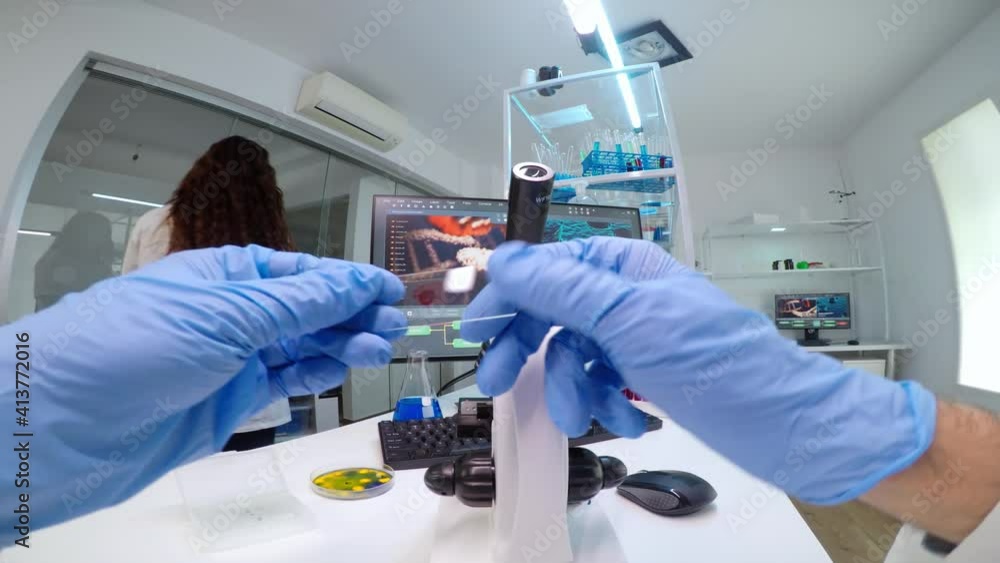 POV of scientists working in lab with patri dish looking into microscope blood analysis. Medical stuff examining vaccine development using high tech researching treatment against covid19 virus POV of scientists working in lab with patri dish looking into microscope blood analysis. Medical stuff examining vaccine development using high tech researching treatment against covid19 virus