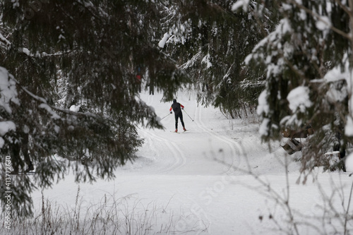 skiing in the forest © zarya