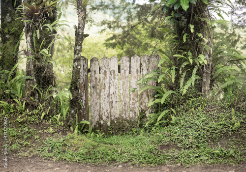 old wood gateway