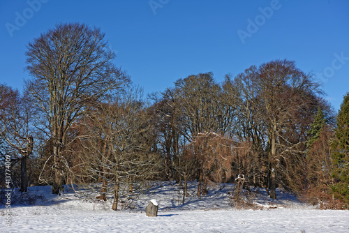 Mixed woodland beside the fairway of an abandoned Golf Course at Letham Grange near Arbroath, with Deep snow from the Beast From The East.