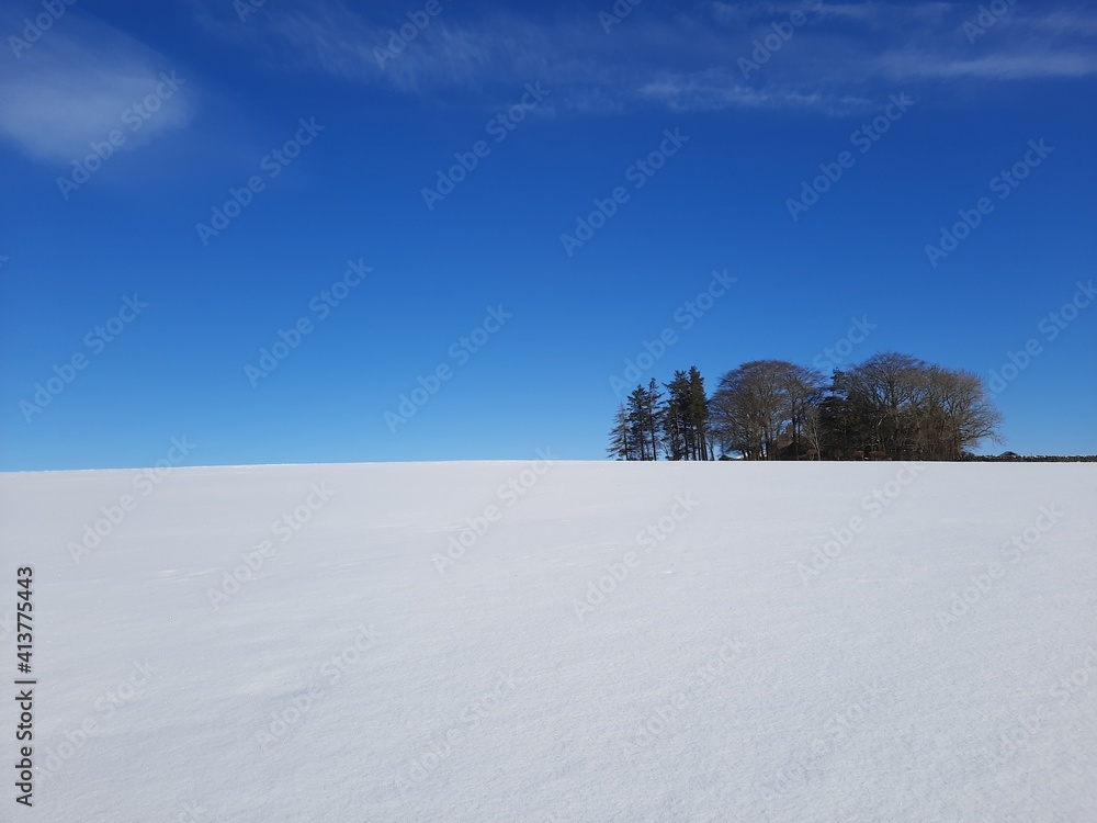 Bright blue sky contrasts against a white snow covered field, Northumberland, UK Bright blue sky contrasts against a white snow covered field, Northumberland, UK