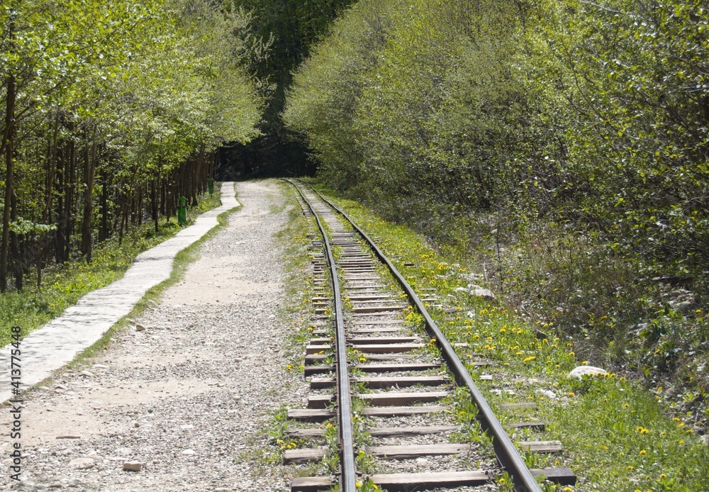 a photograph of an abandoned railway
a photograph of an abandoned railway
