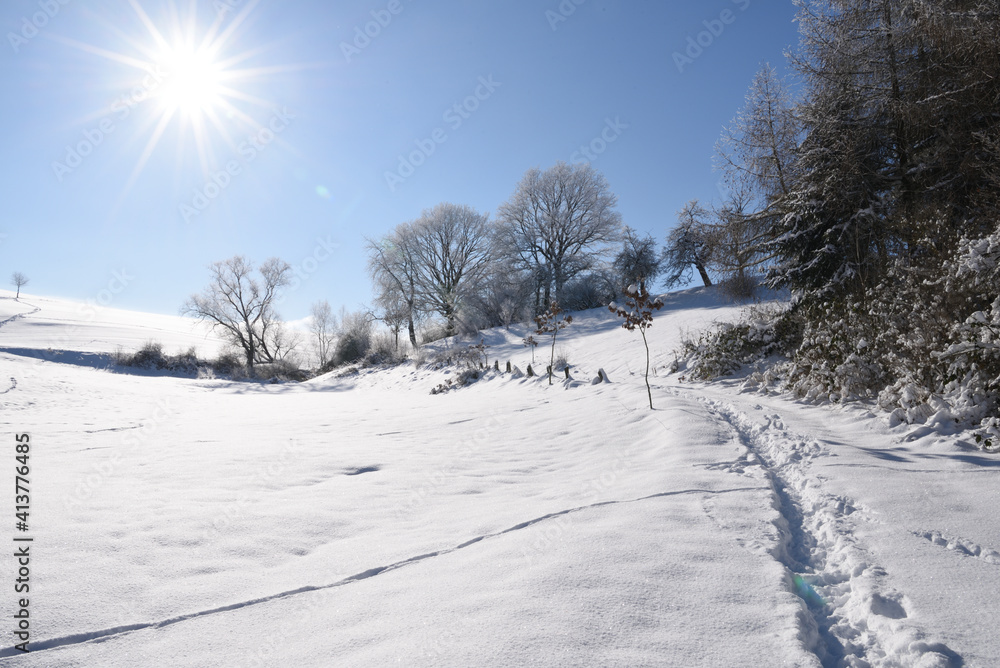 Obraz premium Beautiful landscape covered by snow, Germany