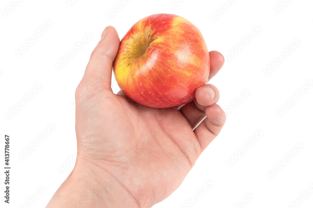 Hande hold red apple. Isolated on white background Hande hold red apple. Isolated on white background