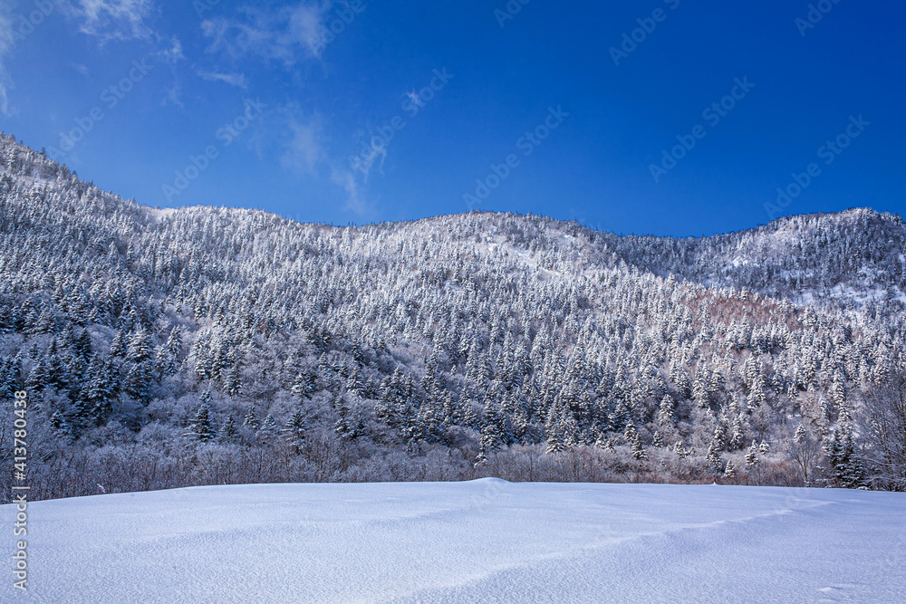 北海道・道東の雪景色
