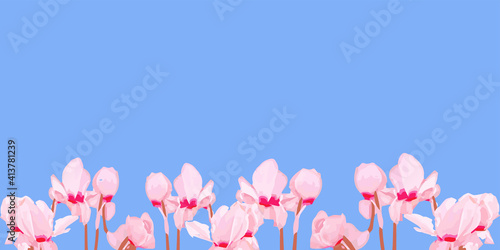 Frame of pink cyclamen flowers on blue background, horizontal