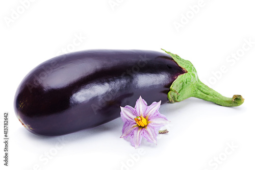 Eggplant vegetable with flower