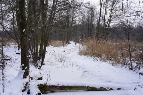 Schneebedecktes zugefrorenes kleines Fließgewässer mit liegendem Baumstamm im Spreewald photo