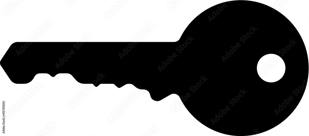 Vector illustration of the key Vector illustration of the key