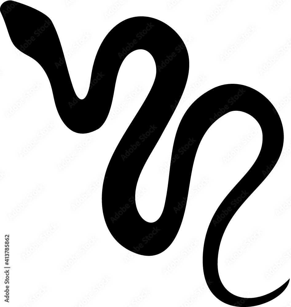 Fototapeta premium Vector illustration of the snake