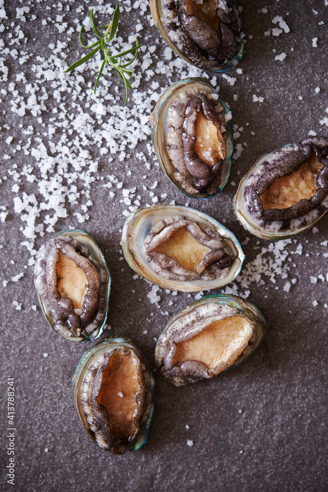 Fresh raw abalone and salt on marble Fresh raw abalone and salt on marble