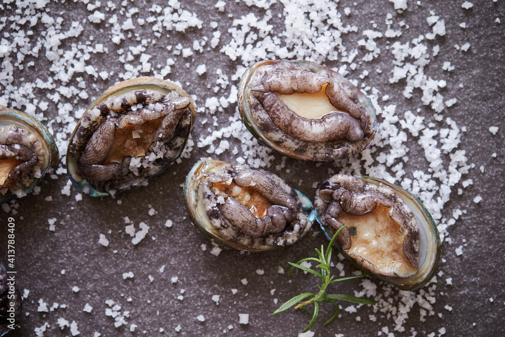 Fresh raw abalone and salt on marble Fresh raw abalone and salt on marble