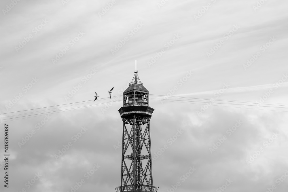 two seagulls flying in the barcelona cable car. Black and white photography