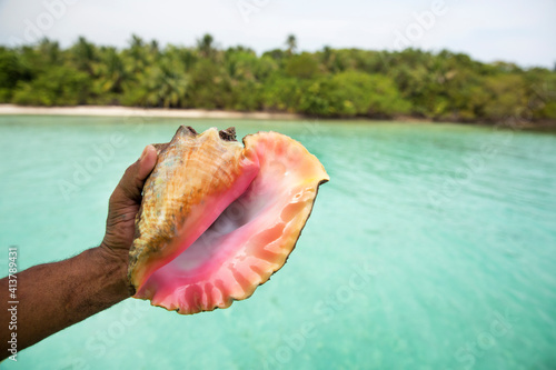 guests can go Snorkeling with the Chef, they'lltake a guided day cruise to the Gulf of Honduras where they'll be able to snorkel in the warm waters and then be prepared an incredib