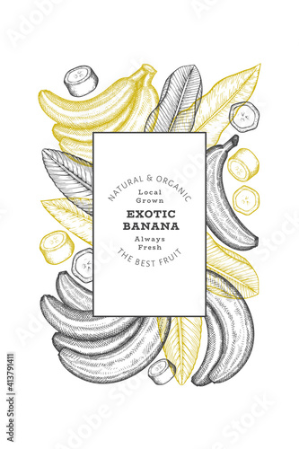 Hand drawn sketch style banana banner. Organic fresh fruit vector illustration. Retro exotic fruit design template