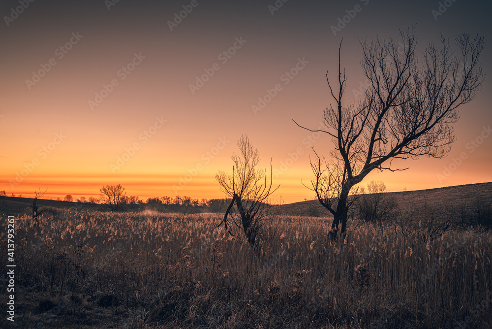 Obraz premium Sunrise on river