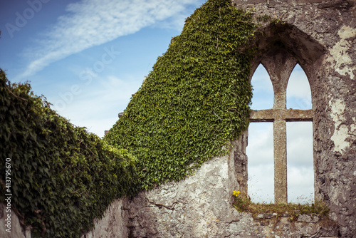 Detail of ivy overgrown stone castle ruins photo