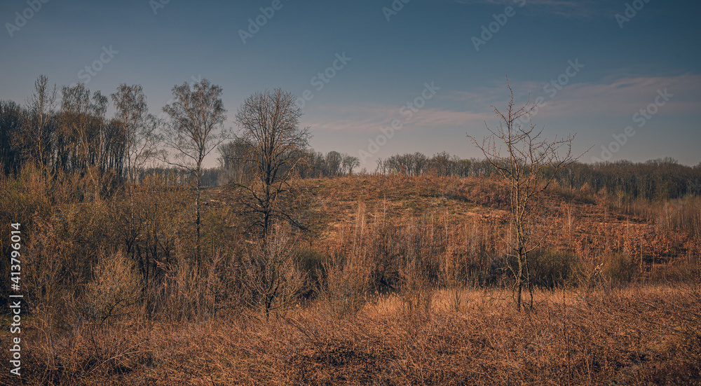 Spring landscape Spring landscape