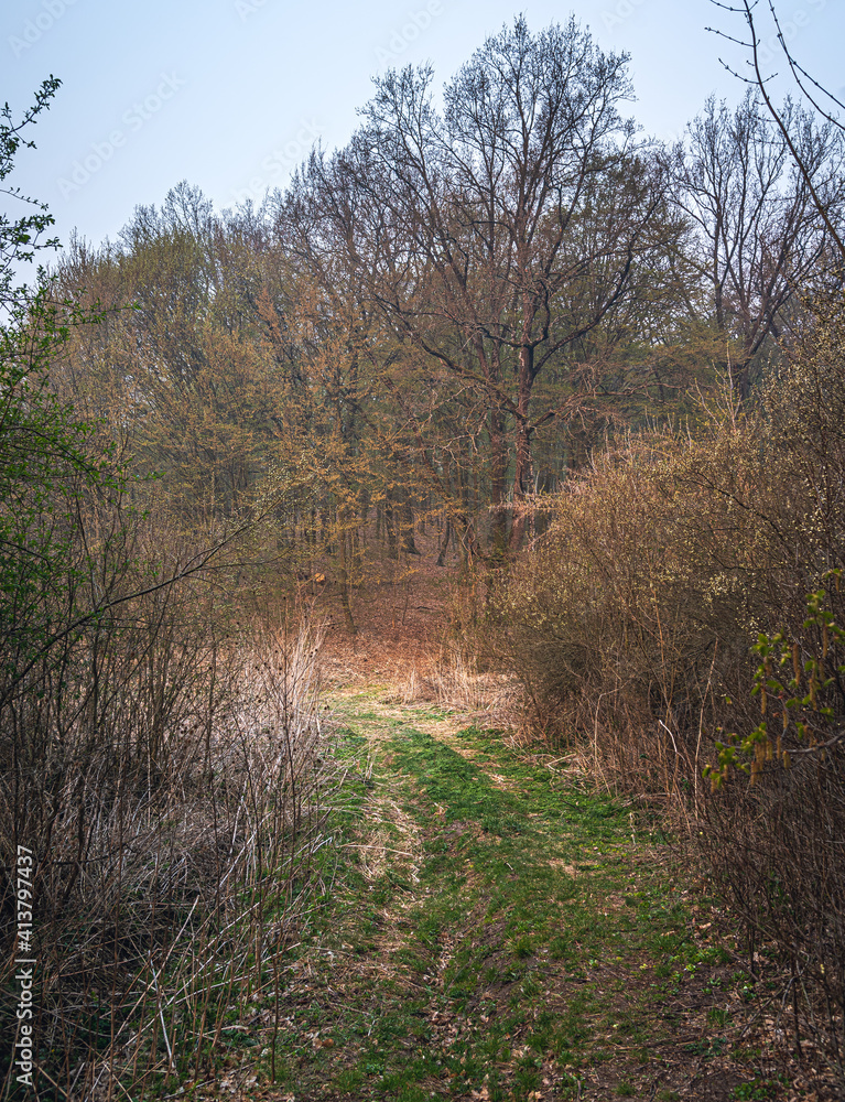 Spring landscape Spring landscape