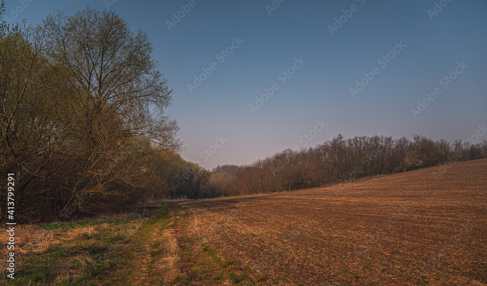 Spring landscape Spring landscape