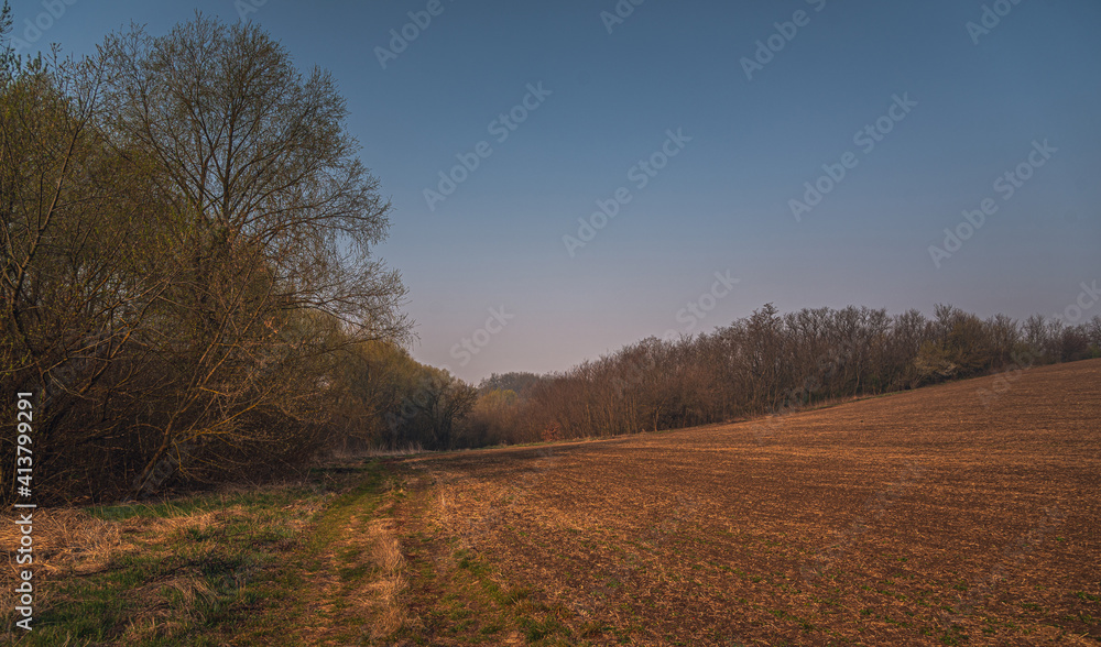 Spring landscape