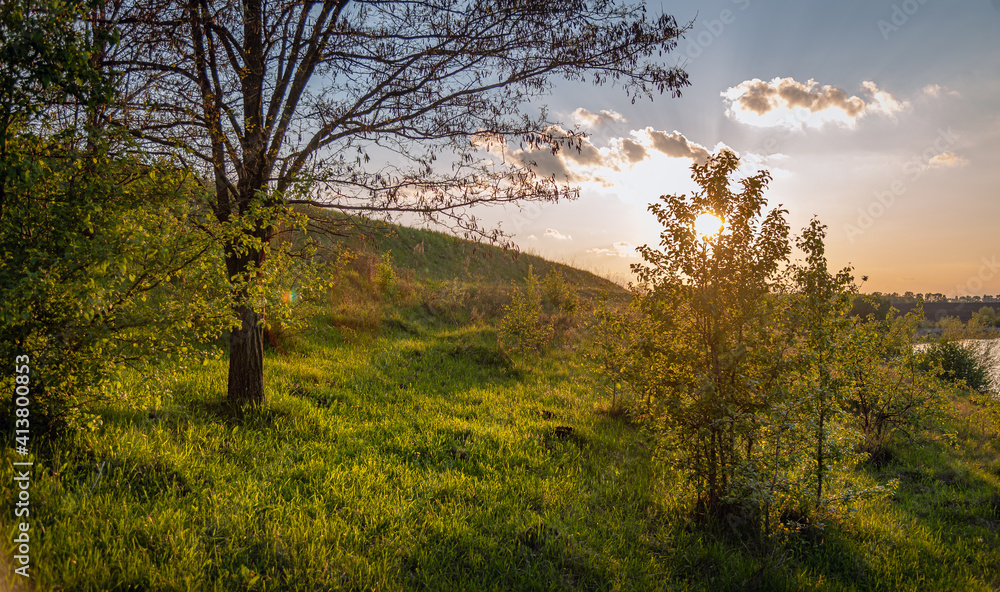 Obraz premium Summer moring among fields