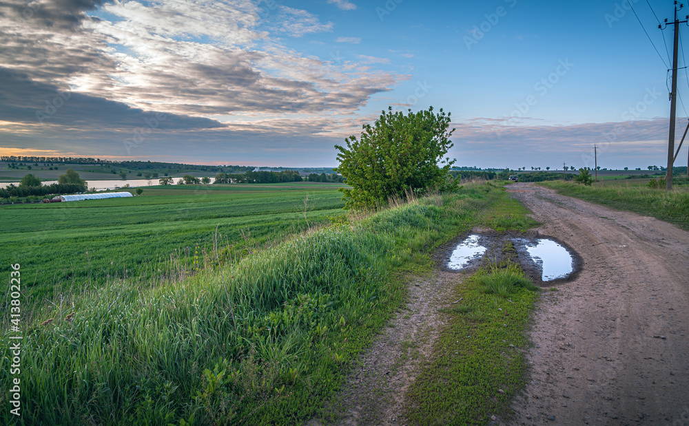 Summer moring among fields