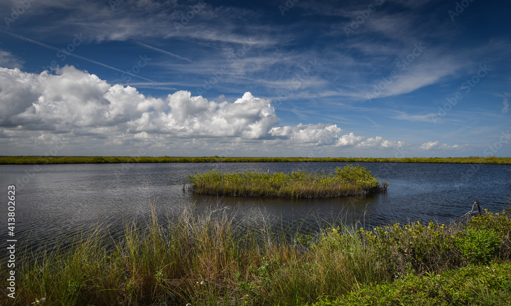 Fototapeta premium Beautiful Floridian winter landscape
