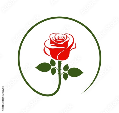 Rose logo.  Isolated rose on white background