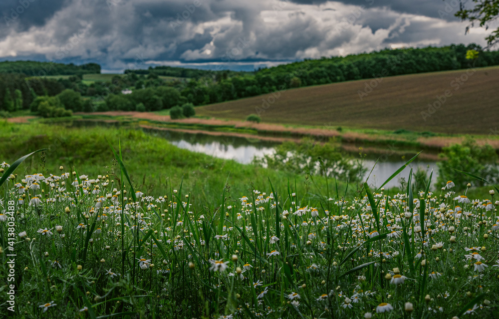 Fototapeta premium Summer landscape
