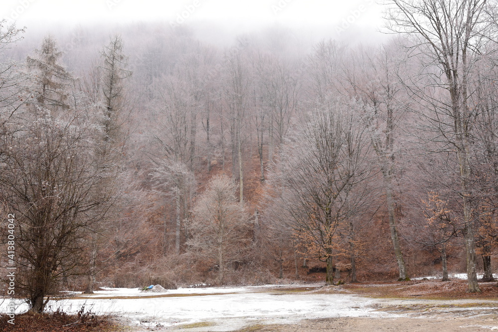 Fototapeta premium Frost over autumn landscape, with orange leaves still visible