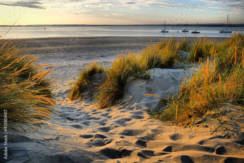 The sand dunes at West Wittering beach, West Sussex, UK