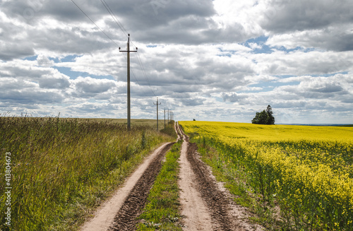 Rural dirt road in bloom rapeseed field, farmland landscape