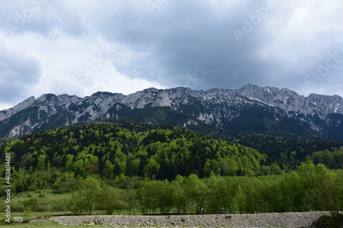 Forest with several shades of green, with mountains in the background