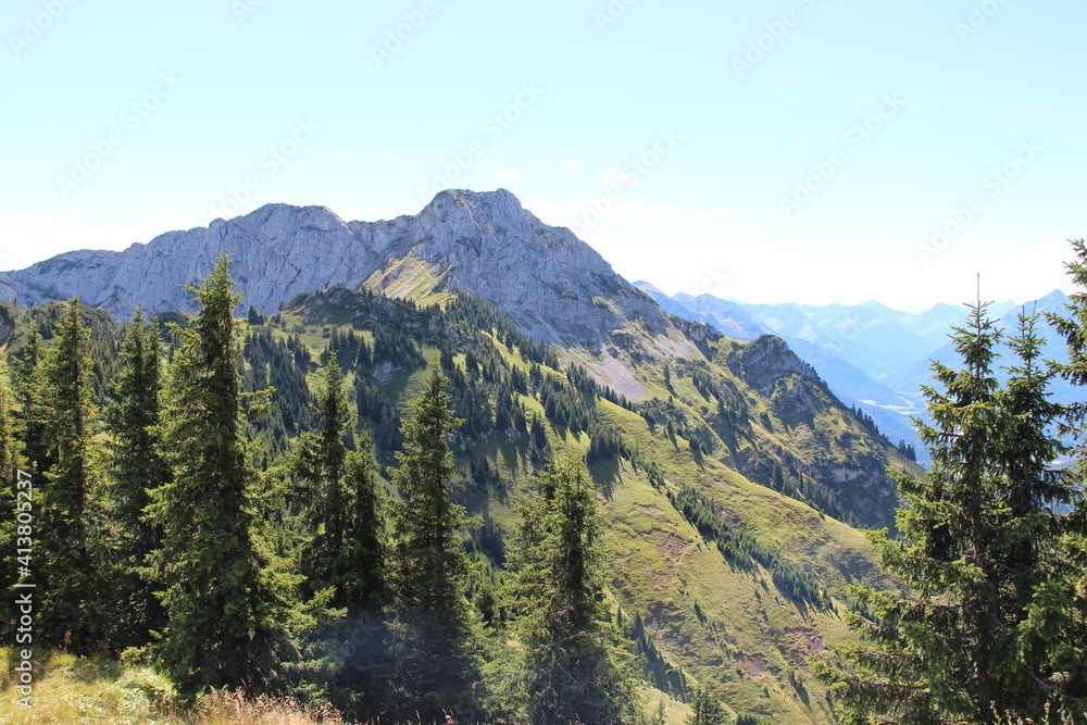 Trees and Mountain range in Austria