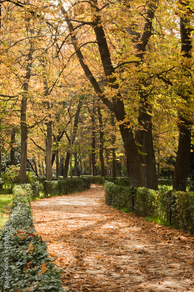 Naklejka premium El Retiro Park in autumn.