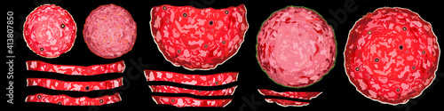 Different varieties of salami and pepperoni. Slices of cured sausage products. Vector Illustration