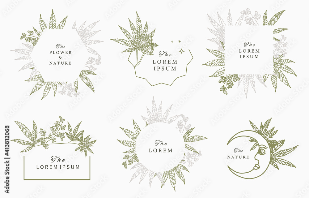 cannabis frame collection.vector illustration for banner and product