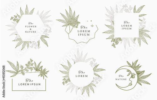 cannabis frame collection.vector illustration for banner and product