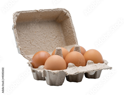 six eggs in egg carton side view isolated on white background with clipping path,high resolution files