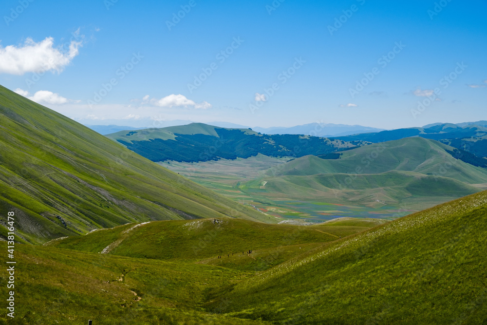 Naklejka premium landscape in summer