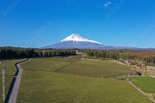 Shooting snow-capped Mt. Fuji and tea plantations from the sky with a drone photo
