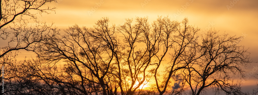 Obraz premium Coucher de soleil.