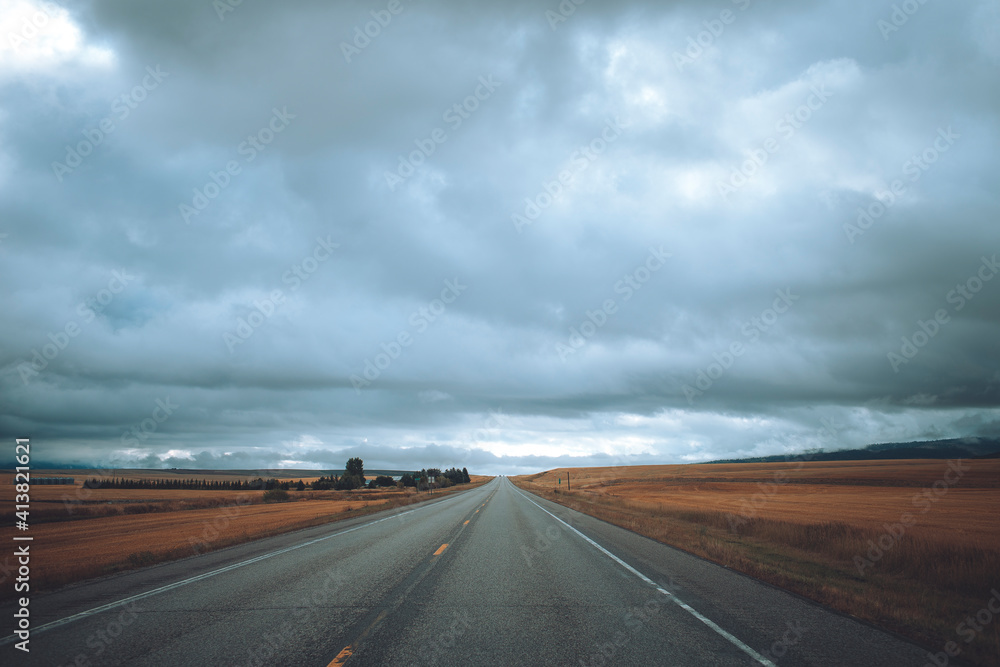 An empty road fading off into the horizon is surrounded by fields.