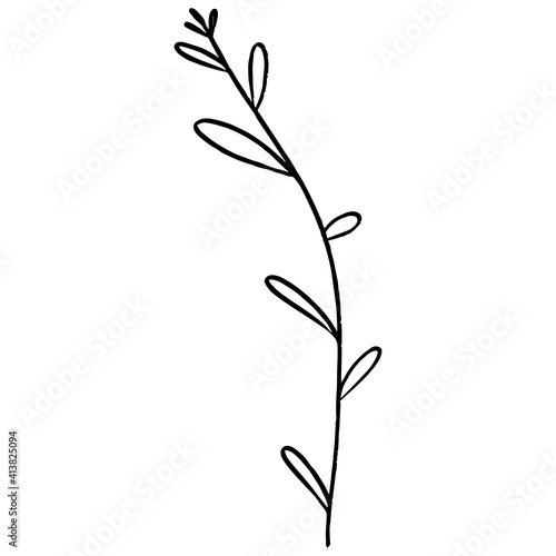 Long Curved Branch Leaves vector line art. Decorative symbol, vector illustration. Bright decoration. Vector design