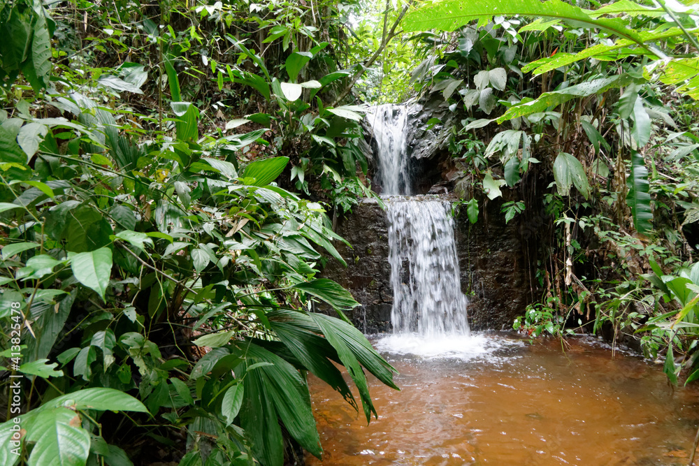 Cascade du Rorota au milieu de la végétation - Guyane française