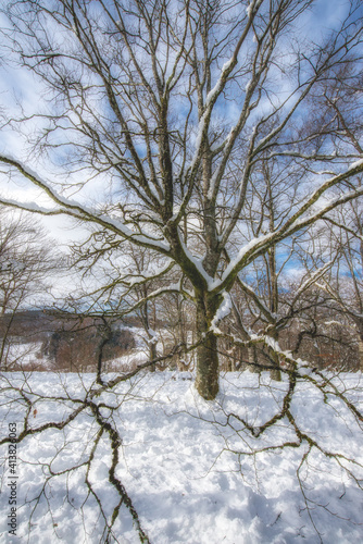 dia de excursión por la nieve