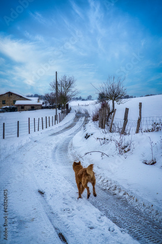 de paseo por la nieve