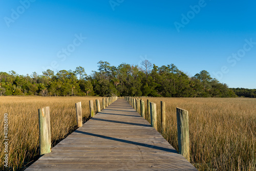 A raised wooden walking path cuts through marsh grass on a clear day photo