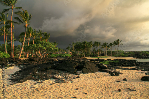 beach with palm trees